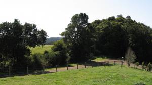 Acres, Land Mid North Coast Comboyne