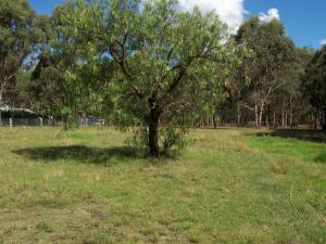 Land For Sale Briagolong Victoria