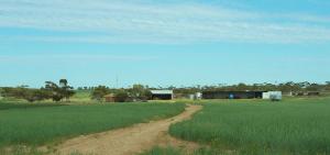 Farm For Sale Maggea South Australia