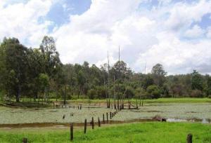 Acreage For Sale Greenbank