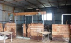 Farm For Sale Maggea South Australia