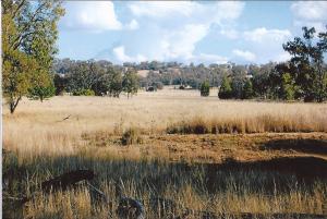 Farm For Sale Warialda New South Wales