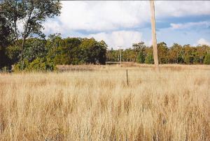 Farm For Sale Warialda New South Wales