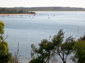 Hardware Business For Sale Balnarring Victoria