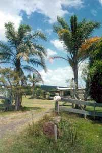 Byron Bay Real Estate For Sale