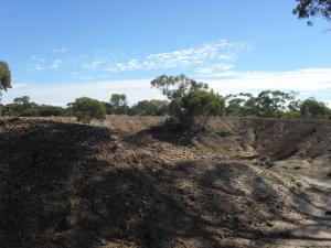 Home For Sale Merredin
