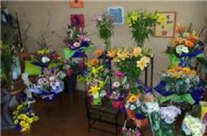 Business For Sale Swan Hill Victoria