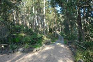 Farm For Sale Devon North Victoria