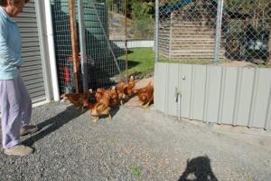 Farm For Sale Devon North Victoria