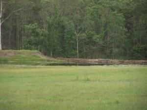 Farm For Sale Stockleigh Queensland