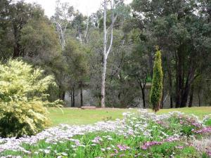 Home For Sale Bridgetown Western Australia
