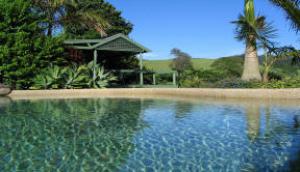 Accommodation Business For Sale Murwillumbah