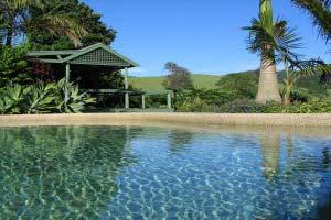 Accommodation Business For Sale Murwillumbah