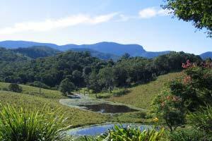 Accommodation Business For Sale Murwillumbah