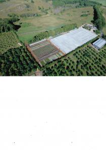Farm For Sale Duranbah New South Wales