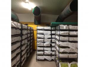 Farm For Sale Menindee