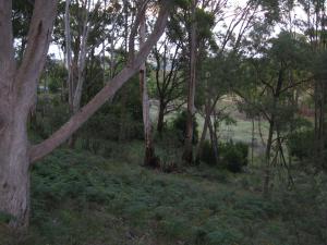 Acreage For Sale Tumbarumba New South Wales
