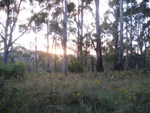 Acreage For Sale Tumbarumba New South Wales