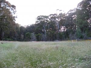 Acreage For Sale Tumbarumba New South Wales