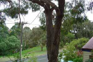 Mount Eliza Home For Sale