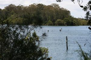 Waterfront Real Estate Port Macquarie