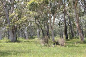 Waterfront Real Estate Port Macquarie