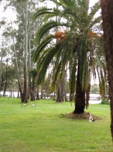 Waterfront Real Estate Port Macquarie