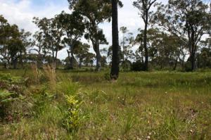Waterfront Real Estate Port Macquarie