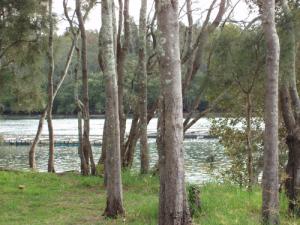 Waterfront Real Estate Port Macquarie