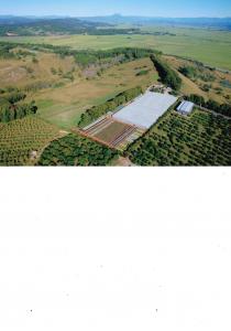 Farm For Sale Duranbah New South Wales