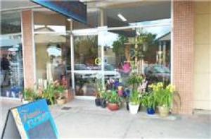 Business For Sale Swan Hill Victoria