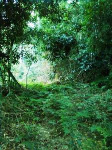 Click to view larger images Acreage For Sale Greenbank