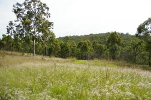 Click to view larger images Acreage For Sale Greenbank