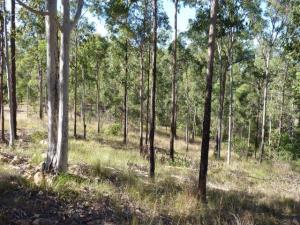 Click to view larger images Acreage For Sale Greenbank