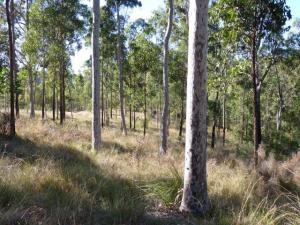 Click to view larger images Acreage For Sale Greenbank