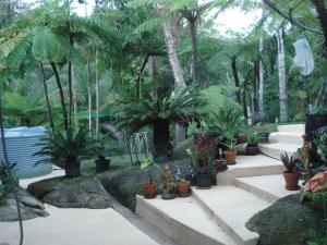 Home For Sale Rossville Queensland